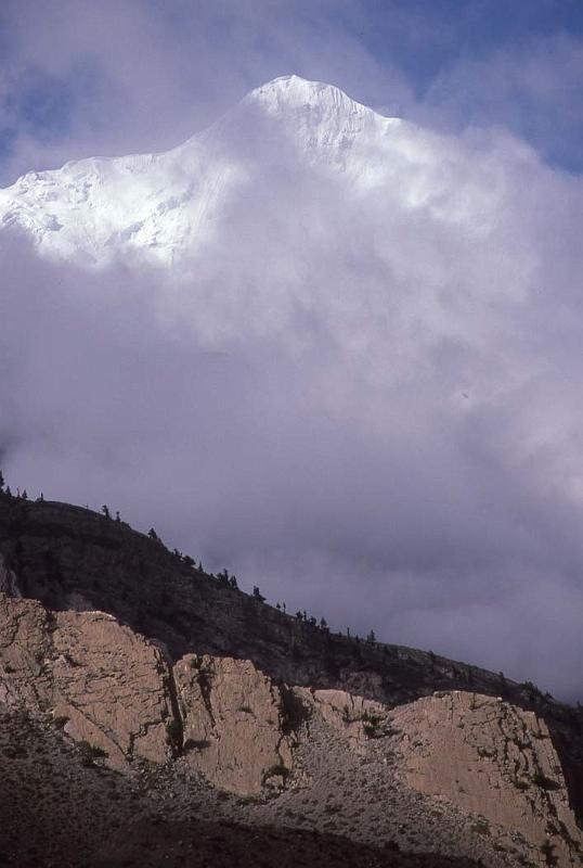 WT 186-14 Niligiri North.jpg